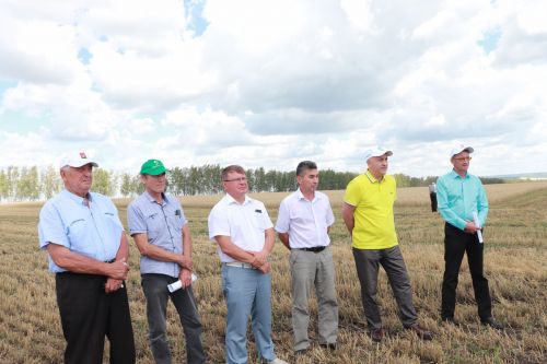 На азнакаевских полях началась жатва