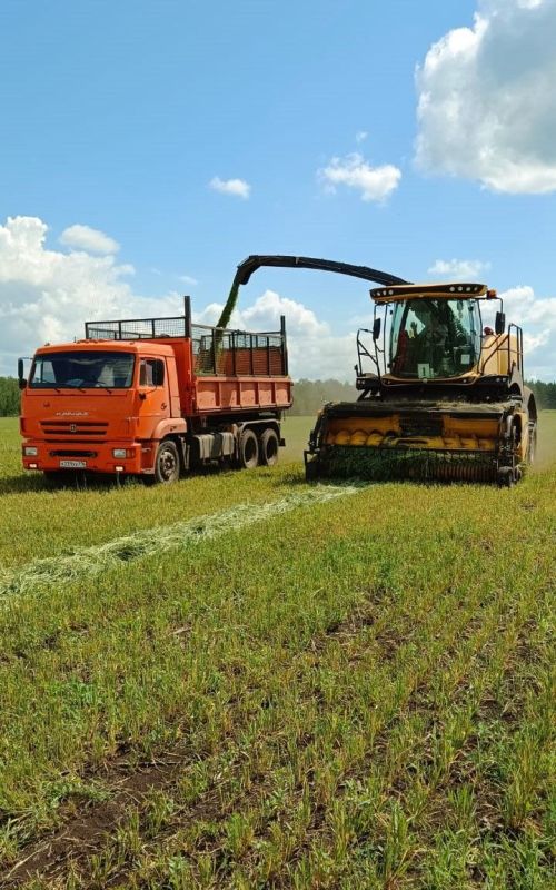 Азнакаевцы приступили к уборке урожая