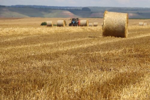 Азнакаевцы приступили к уборке урожая