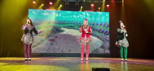 В Казани прошел День культуры Азнакаевского района