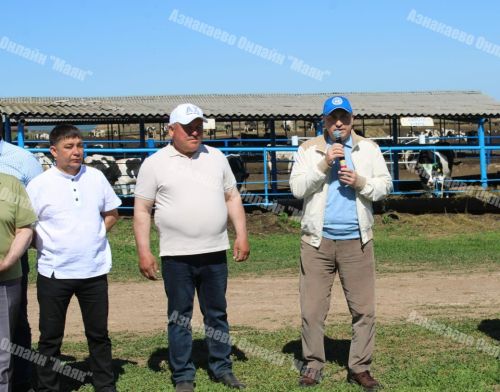 Азнакай районында сыер савучылар һәм төхнологлар бәйгесе үтте