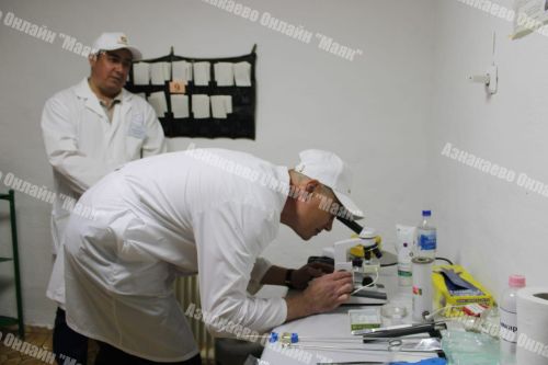 Азнакай районында сыер савучылар һәм төхнологлар бәйгесе үтте