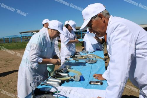 Азнакай районында сыер савучылар һәм төхнологлар бәйгесе үтте