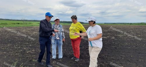 Азнакайда комиссия чәчүлекләрне кабул итте