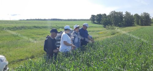 Азнакайда комиссия чәчүлекләрне кабул итте