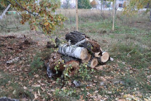 Табигатьне саклау — һәммәбезнең уртак бурычы