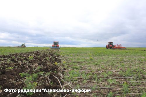 Азнакай сабанчылары үзләренең осталыгын сынады