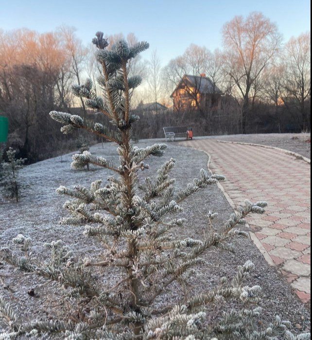 Снегопады в Москве не дойдут до Татарстана