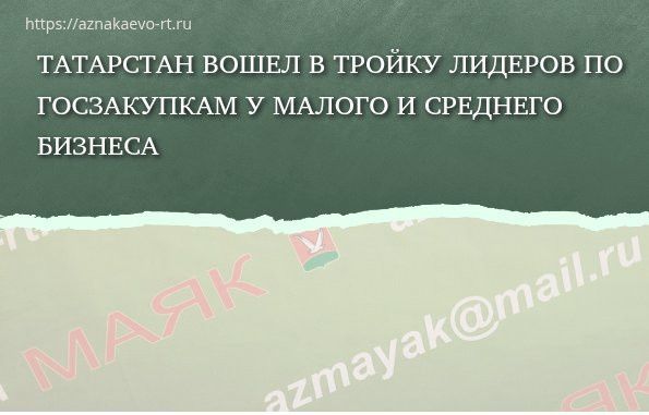 Татарстан вошел в тройку лидеров по госзакупкам у малого и среднего бизнеса
