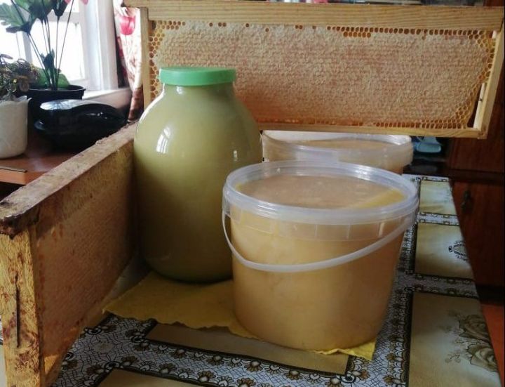 Баллы су организмны чистарта