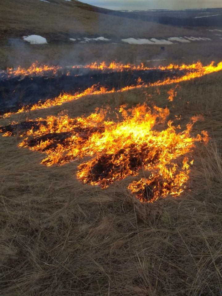 Внимание: запрещено выжигание сухой травы