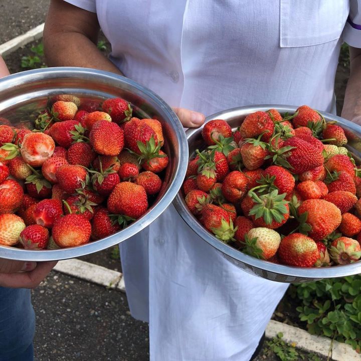 В Азнакаево в детсаде поспели ягоды