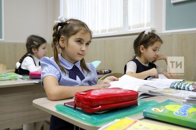 В школах Татарстана предметы «Родной язык» и «Родная литература» станут обязательными
