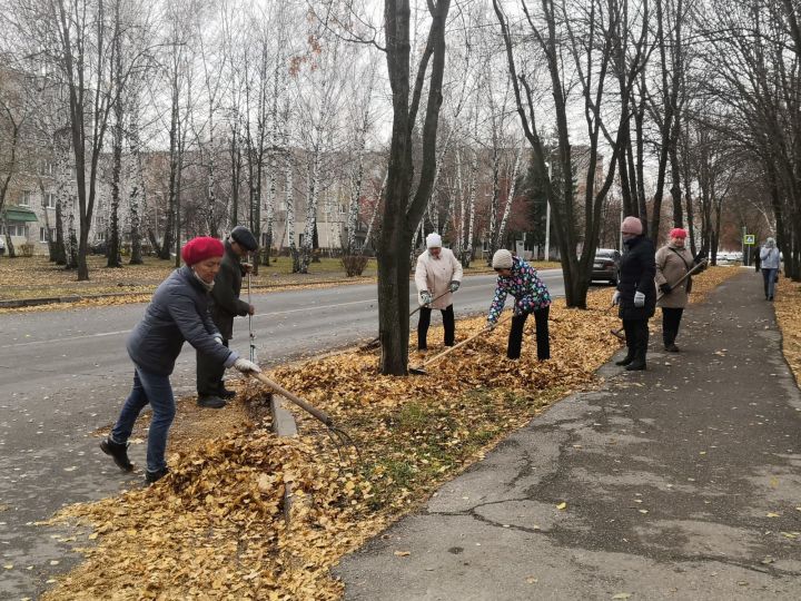 Азнакайның территориаль иҗтимагый үзидарәләре шәһәребез чисталыгын сафында