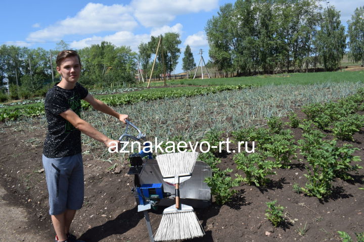 Азнакаевский школьник изобрел устройство для сбора картофельного жука