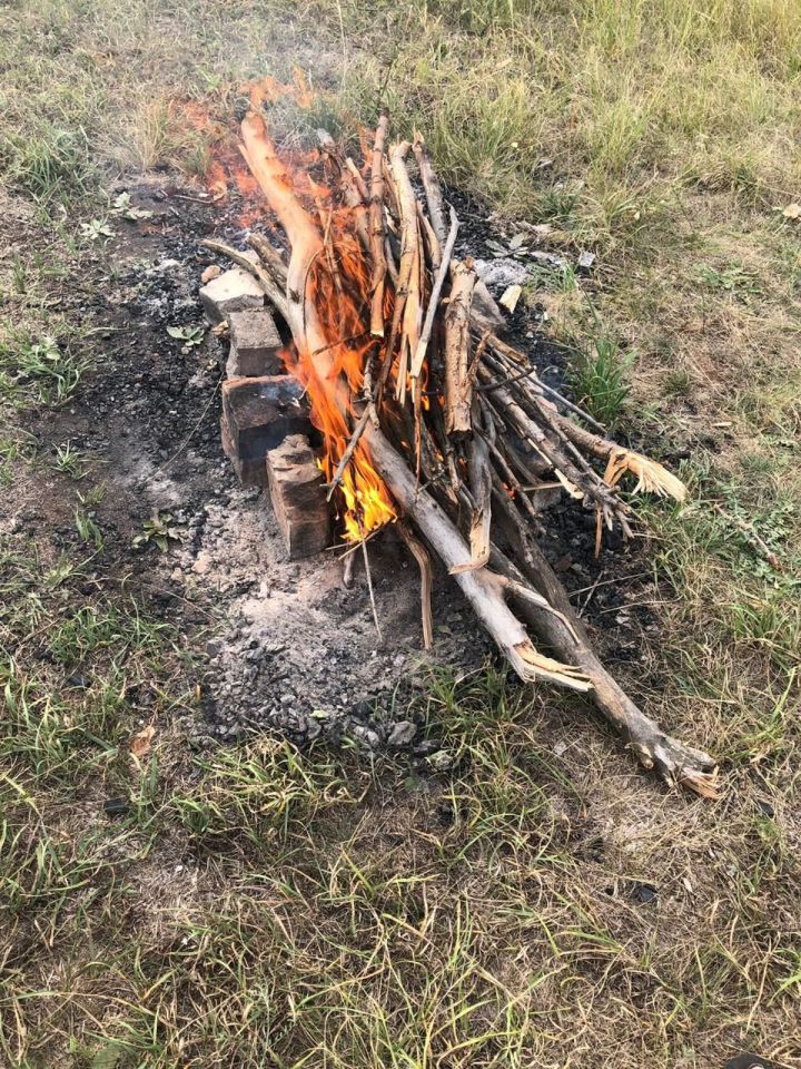 Урманны янгыннан саклыйк!