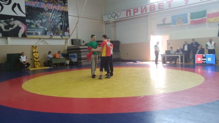 Азнакаевские борцы отлично выступили на республиканском турнире