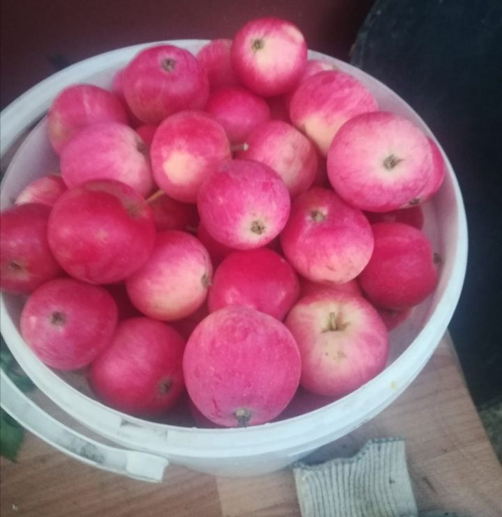 Рецепт вкусного яблочного варенья с имбирем и цедрой для азнакаевских хозяек