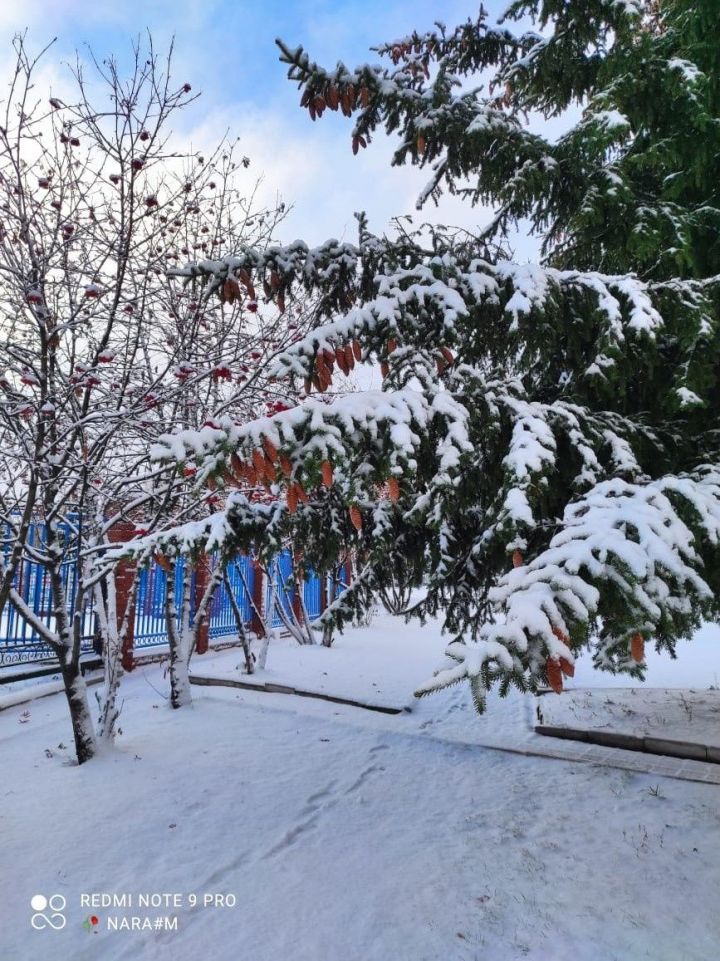 В Азнакаево сегодня ожидается до 20 градусов мороза