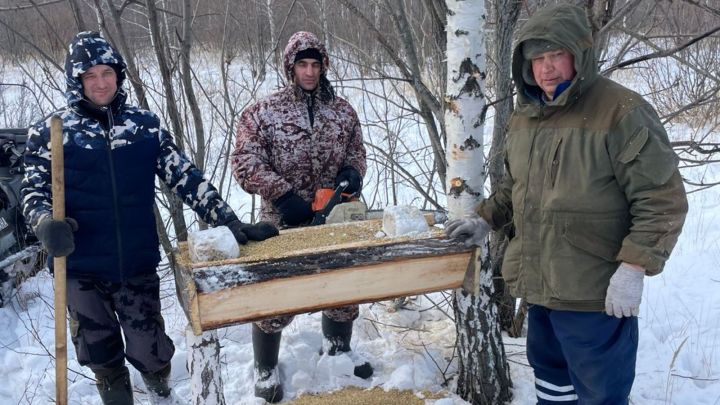 Работники заказников Центра внедрения инновационных технологий в области сохранения животного мира заботятся о лосях, косулях и зайцах, предоставляя им зимнюю подкормку