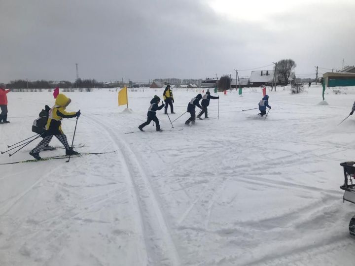 На «Лыжне России» выбрали самых сильных и спортивных