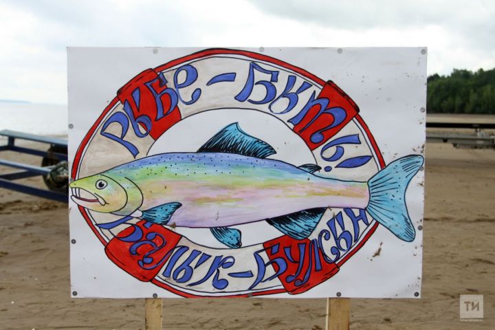 На водоемах Татарстана установлено более 20 км рыбьих домиков