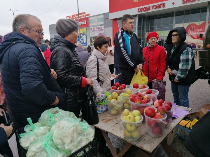 Азнакайда көзге ярминкәләр башланды