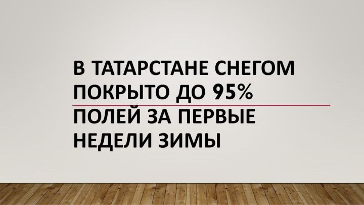 В Татарстане снегом покрыто до 95% полей за первые недели зимы