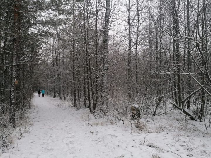 В Татарстане аномальное тепло сменится морозами