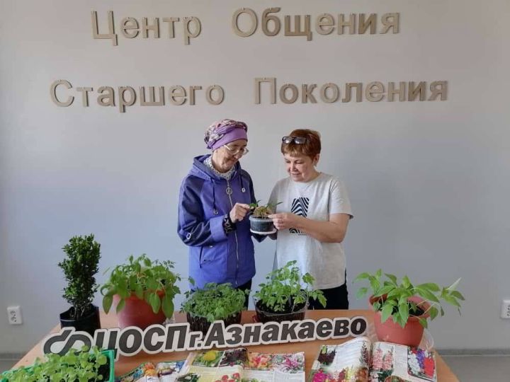 25 апреля в Центре общения старшего поколения города Азнакаево состоялась ежегодная встреча дачников