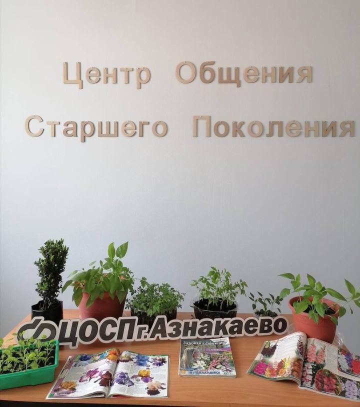 25 апреля в Центре общения старшего поколения города Азнакаево состоялась ежегодная встреча дачников