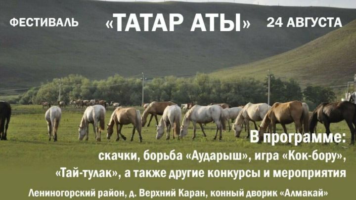 В Татарстане состоится фестиваль «Татар аты»