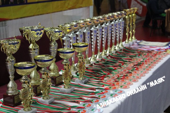 В Азнакаево проходит турнир по борьбе на Кубок главы района