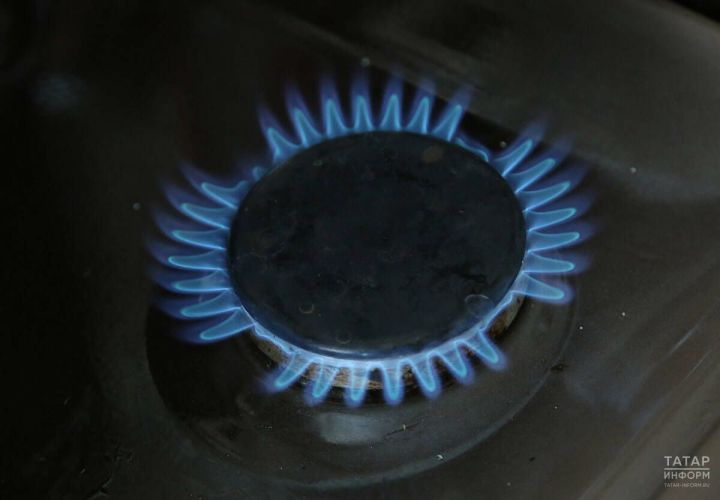 Татарстанда газга һәм чүп-чарны чыгаруга тарифларны арттыруны расладылар