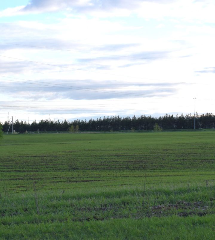 Если землю не обрабатывать, собственника могут оштрафовать или даже забрать у него земельный участок