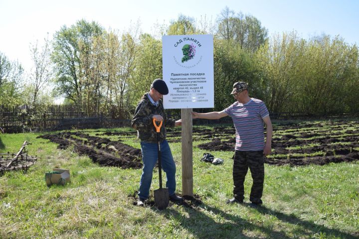Международная акция «Сад памяти» в Татарстане: дань уважения героям