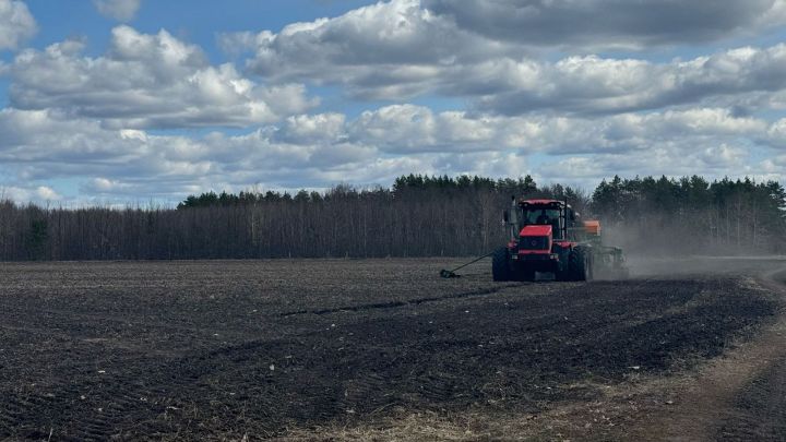 В Республике Татарстан продолжаются весенние полевые работы
