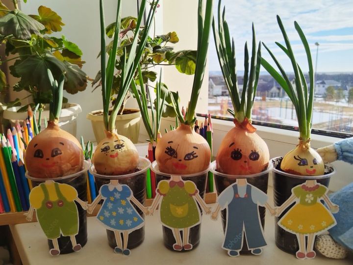 Забавный Чиполлино в детском саду