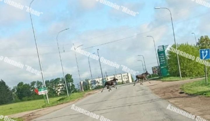 Будьте внимательны на дороге