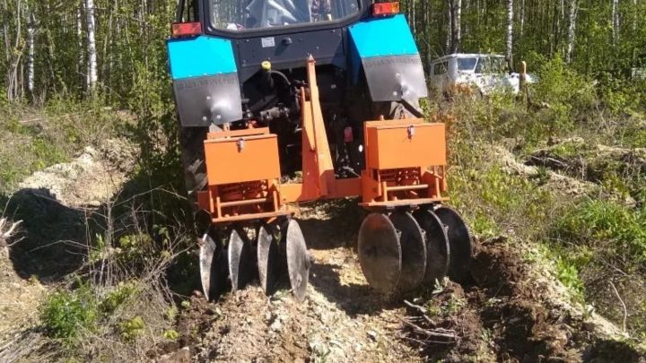 В Татарстане выполнены работы по агротехническому уходу за лесными культурами