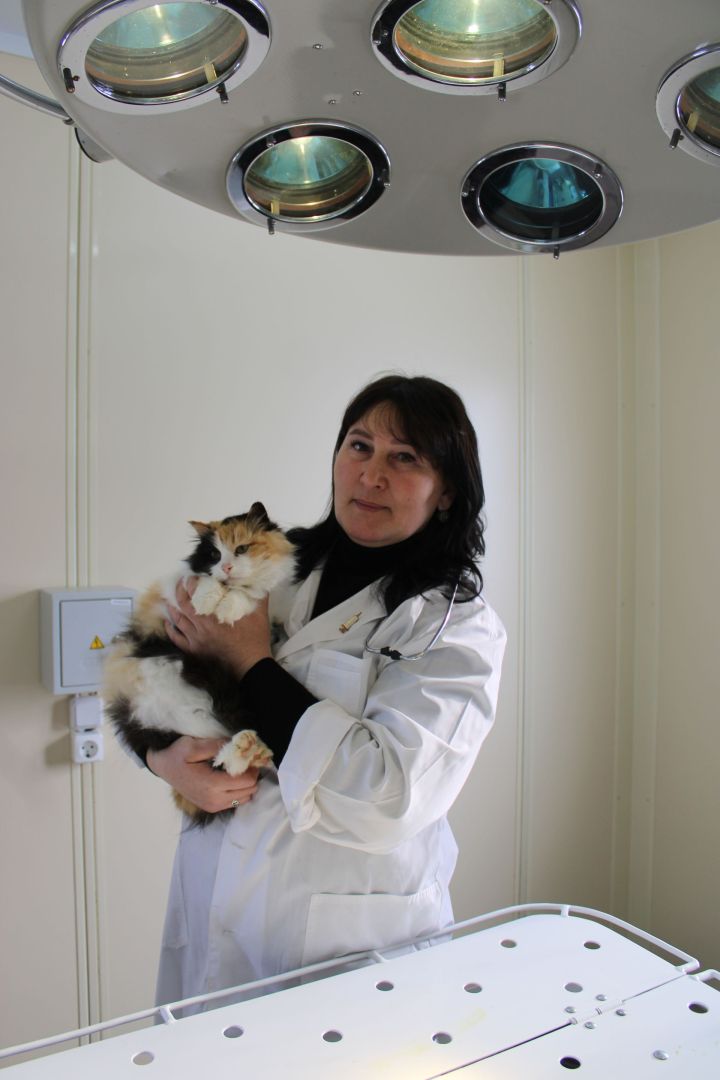 Любимая работа – это счастье