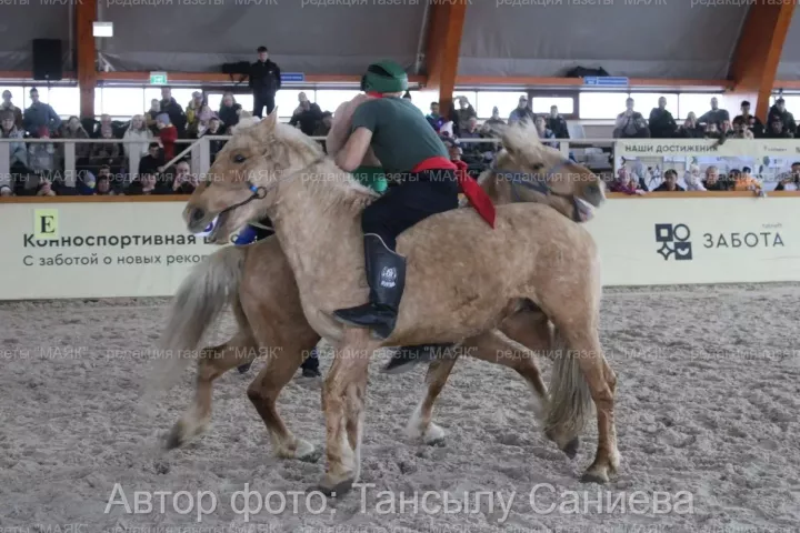 Актүбә бистәсендә ир-атлар ат өстендә көрәшәләр