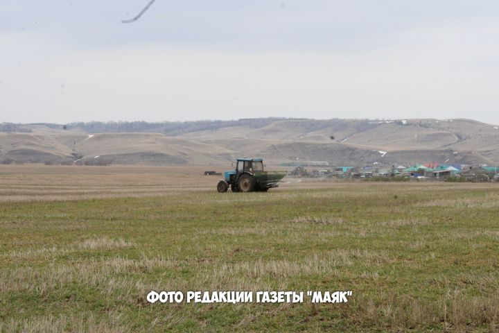 В Азнакаево кипит весенняя полевая работа