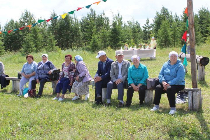 Азнакайда ветераннар Сабан туе узды: Урсайда өлкәннәр капчык киеп йөгерде, аркан тартты һәм биеде