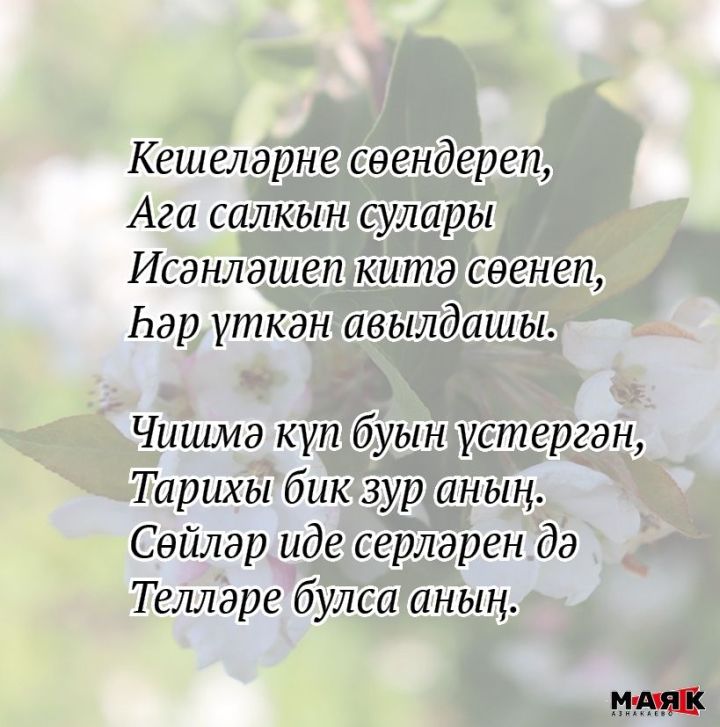 Миләүшә Тимбакованың иҗаты