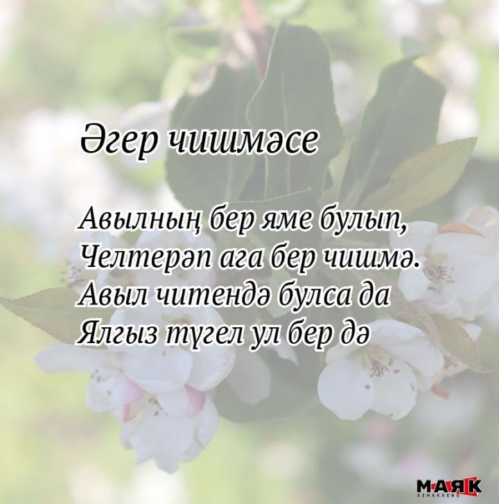 Миләүшә Тимбакованың иҗаты
