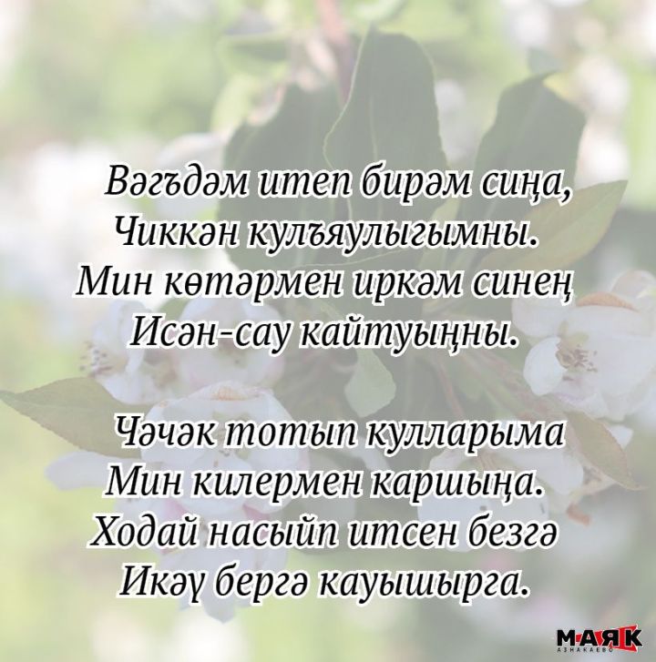 Әлфия Әхмәтхәбип кызы Кәримованың иҗаты