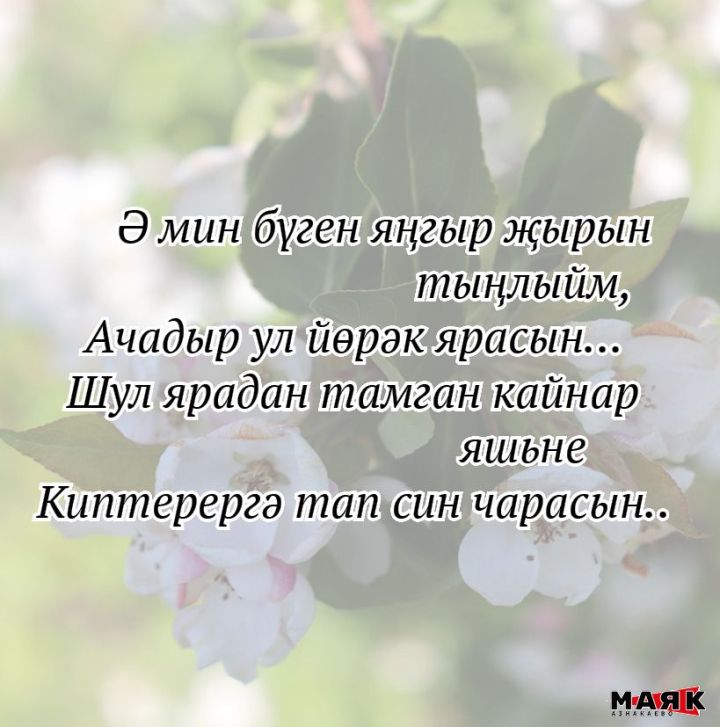 Эльвира Камалетдинованың иҗаты