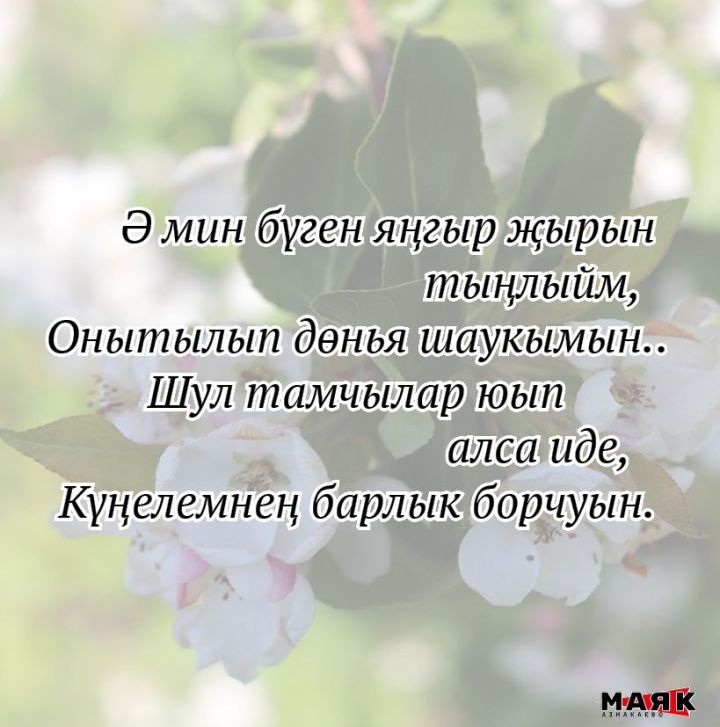Эльвира Камалетдинованың иҗаты