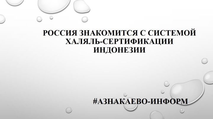 Россия знакомится с системой халяль-сертификации Индонезии
